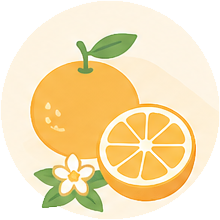 愛媛県のイメージ